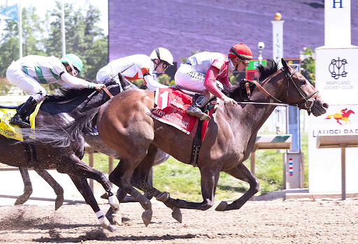 Understanding: The Role Of Manjri Stud Farm In Indian Horse Racing