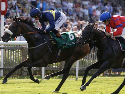 Delhi Race Club and Its Place in Indian Horse Racing Culture