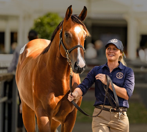 Delhi Race Club and Its Role in India’s Horse Racing Landscape