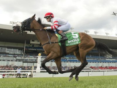 Hyderabad Race Club: History, Role, and Growth of Indian Horse Racing